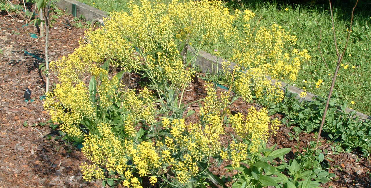 Tissu et vannerie